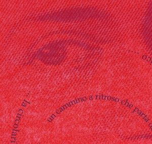 "Rarità mozartiane" - il concerto itinerante de "i Cameristi di Roma" fa tappa alla Tenuta dello Scompiglio / "Rarita' mozartiane" (Mozart Rarities) - the touring concert of "i Cameristi di Roma" comes to the Tenuta dello Scompiglio