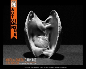 Carnage: collettiva fotografica di Nicola Gnesi esposta a LABottega / Carnage: photography exhibition by Nicola Gnesi at LABottega