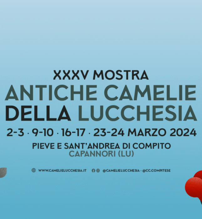 Mostra delle Camelie