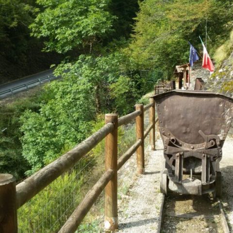 Miniere d'argento vivo